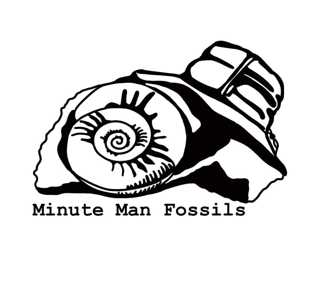 Minute Man Fossils